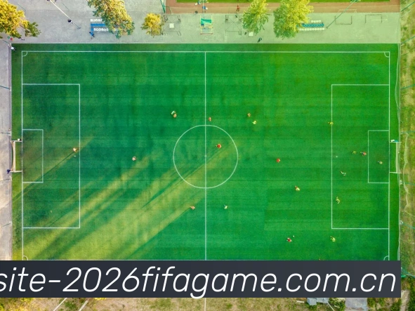 FIFA 官方数据授权认证